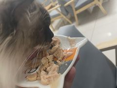 -鼓捣猫呢主题猫咖店