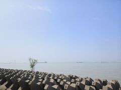 -上海滨江森林公园