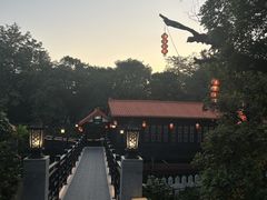 -侨美·唐荔园·40年地道粤菜