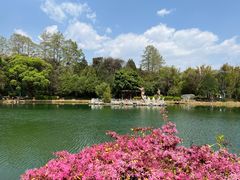 -蝴蝶泉公园