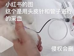 -美联众合爱康动物医院•复杂内科•肿瘤科•牙科•腔镜诊疗中心