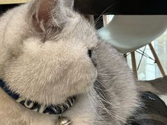 -Oasis绿洲银饰珍珠手作diy(壹方城店)