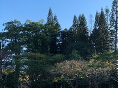 -四海公园(南山区)