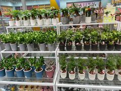 -KKV(重庆光环购物公园店)