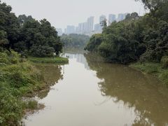 -张坝桂圆林公园