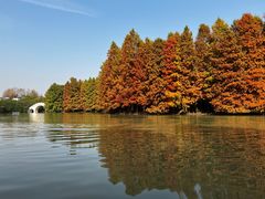 -上海海湾国家森林公园