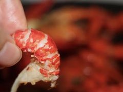 -游园觅食记夜市·小龙虾大排档