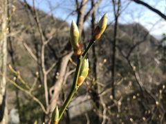 -牛背梁国家森林公园