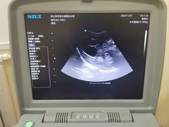 -芭比堂动物医院·CT·微创中心(新顺分院)