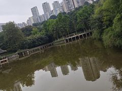 -龙头寺公园