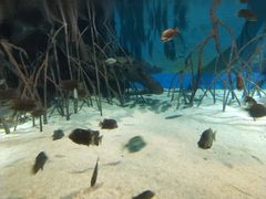 -福州罗源湾海洋世界旅游区