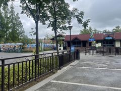 -黄海国家森林公园