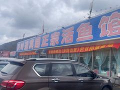 -庆岭迎宾园正宗活鱼馆