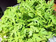 -乐宴·老北京铜火锅(桂庙店)