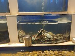 -海天盛宴新派海鲜自助餐厅(群力店)