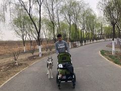 -东郊湿地公园