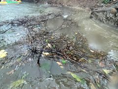 -天目湖松岭竹海漂流