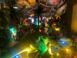 -恐龙探索乐园(磁器口店)