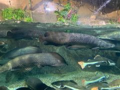 -太平洋海底世界