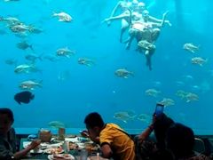 -瑞德姆美人鱼海底演艺主题餐厅(亚龙湾店)
