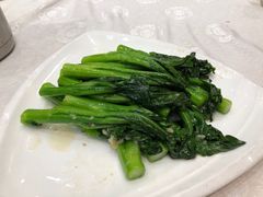 -鹅城