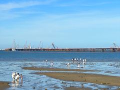 -巨鹏飞梦幻海岸