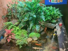 -隐炉和牛烧肉店(群力店)