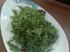 -黄三怪(动物园·无影山店)