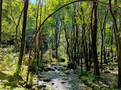 -玉渡山自然风景区