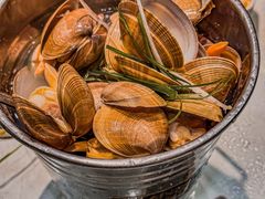 一桶黄蚬-渔娘渔家丹东海鲜(东直门店)