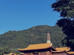 -深圳仙湖植物园