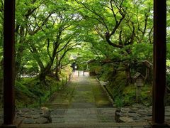 -常寂光寺