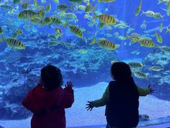 -海合安成都极地海洋公园