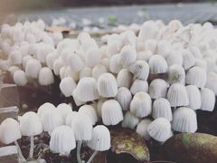 -亮佳鸿华二手市场