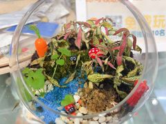 -100家灵感仓库·DIY团建(什刹海店)