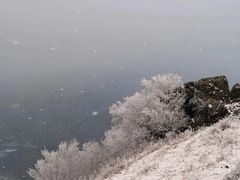 -灵山