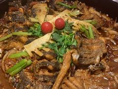 -老板恋上鱼(恒隆广场店)