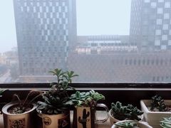 景观位-不正咖啡(万达尊店)