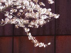 -龙美术馆(西岸馆)