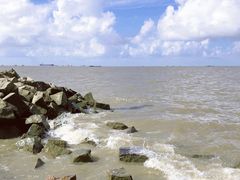 -上海滨江森林公园