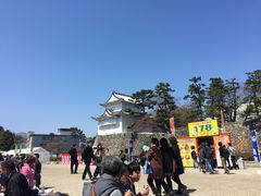 -名古屋城