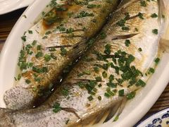 太湖清蒸白鱼-呼吸森林·生态农庄农家乐私房菜