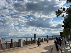 -呈贡滇池生态湿地公园