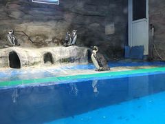 -秦皇岛新澳海底世界