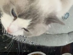 -新泰和人家(金澄天地花园店)