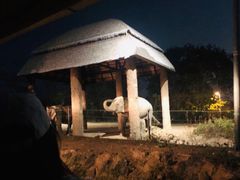 -清迈夜间动物园