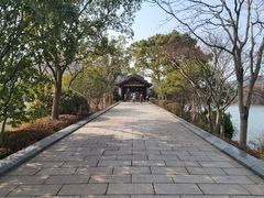 -长广溪湿地公园