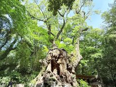 -来宫神社