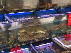 水产区-金海湾海鲜排档(朱家尖店)
