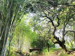 -林丰温泉度假山庄